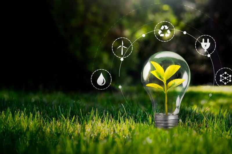 auditoría-gestion-ambiental (3)
