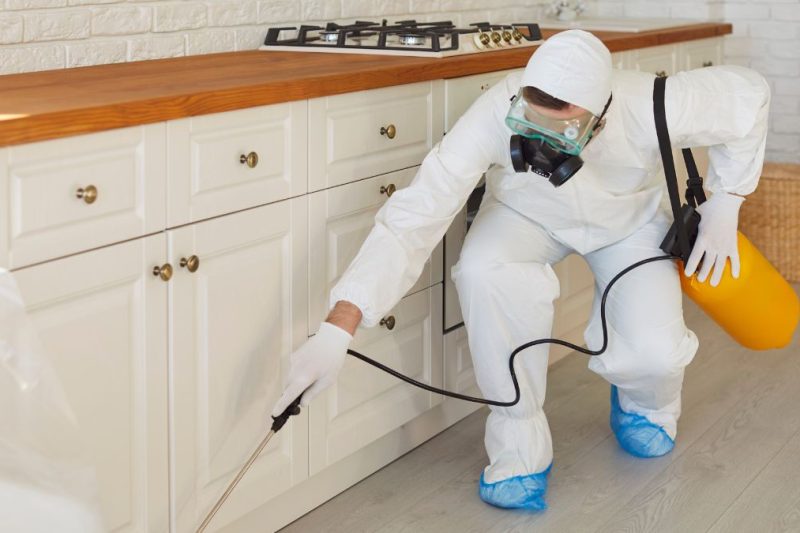 eliminacion de cucarachas