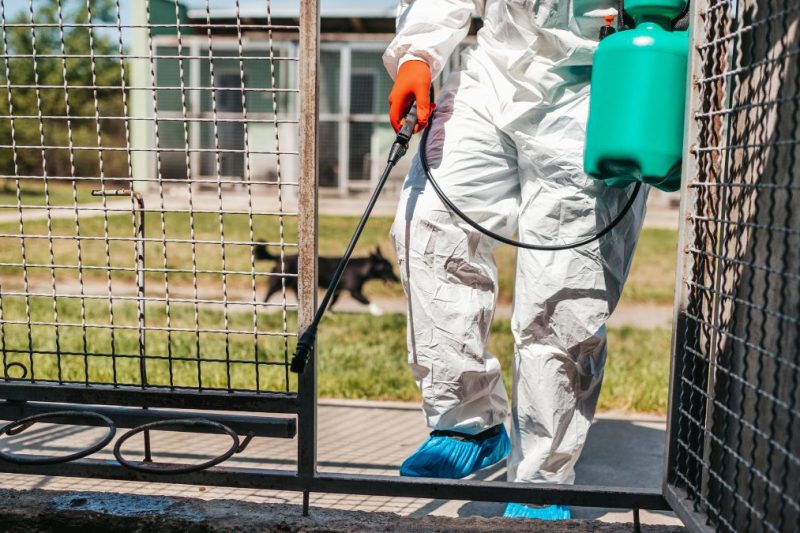 eliminación de roedores