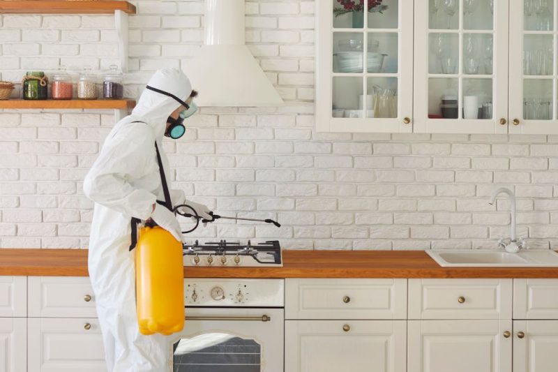 técnico en control de plagas